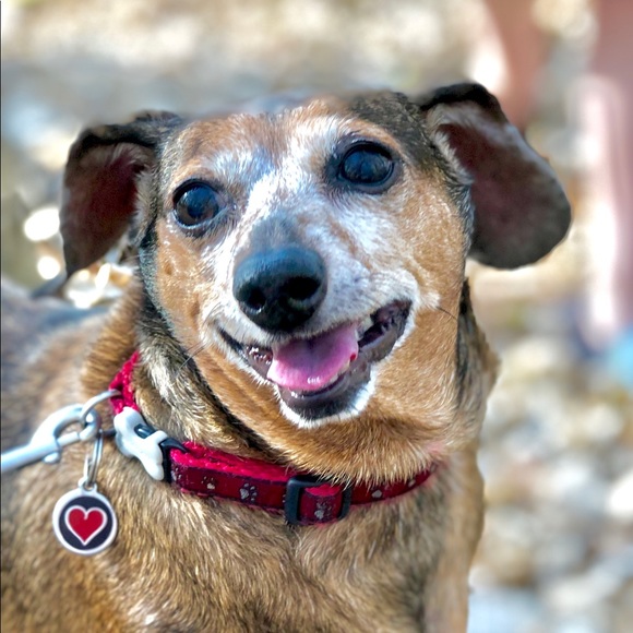 Meet your Posher, Katie - Picture 2 of 8